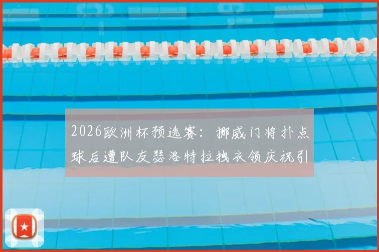 2026欧洲杯预选赛：挪威门将扑点球后遭队友瑟洛特拉拽衣领庆祝引发讨论