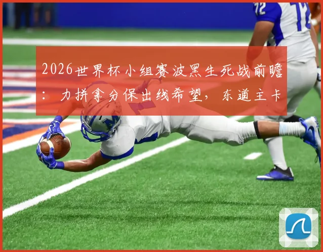 2026世界杯小组赛波黑生死战前瞻:力拼拿分保出线希望,东道主卡塔尔不胜或将提前回家