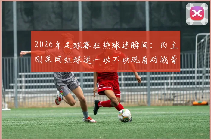 2026年足球赛狂热球迷瞬间：民主刚果网红球迷一动不动观看对战哥伦比亚，背后故事与足球文化解读